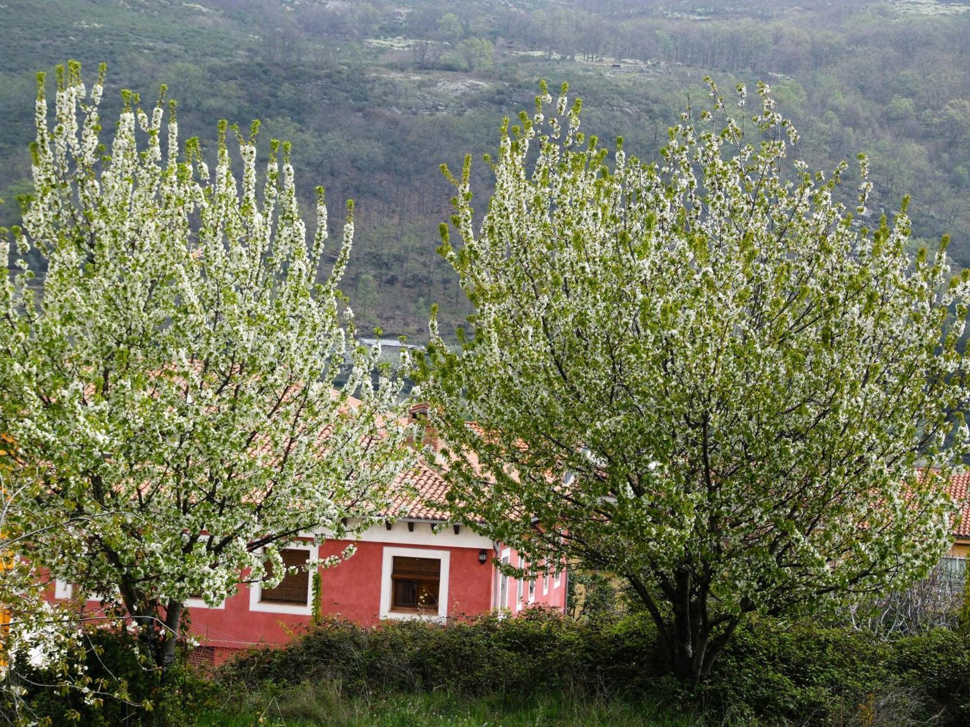 Hotel Rural Carlos I Garganta la Olla Exteriér fotografie